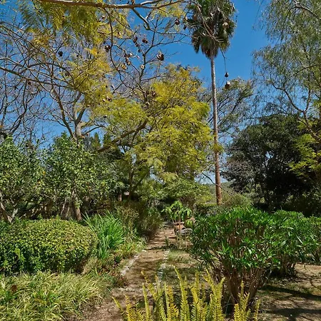 Quinta Da Colina Guest Housecasa Velha-3